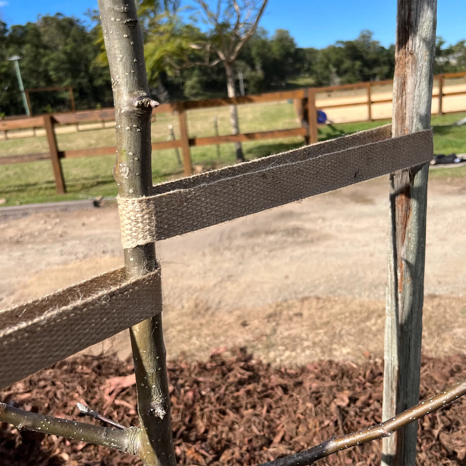 Grunt 25mm x 25m Jute Webbing