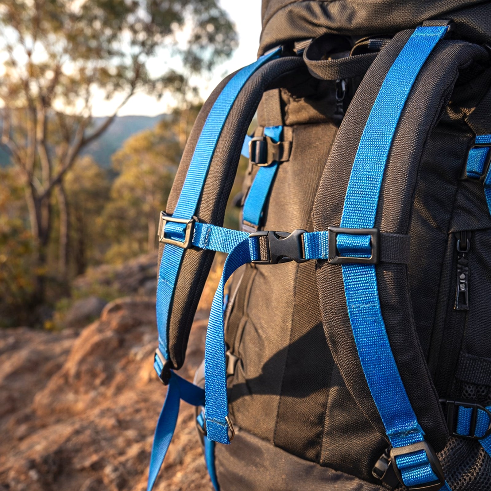 GRUNT 25mm x 10m Heavy Duty Blue Polyester Webbing – 680kg breaking strength blue polyester webbing for custom straps, DIY tie-downs, and harness making. UV-stable and abrasion-resistant. Available at Bunnings AU and NZ.